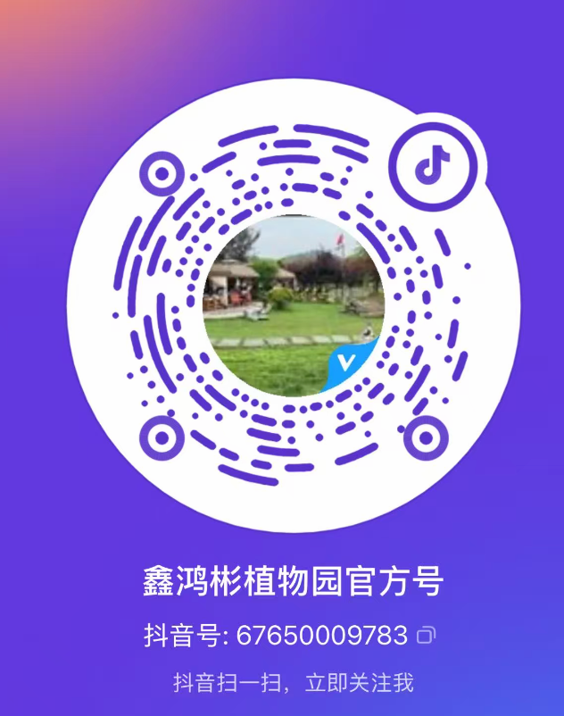 抖音扫码关注